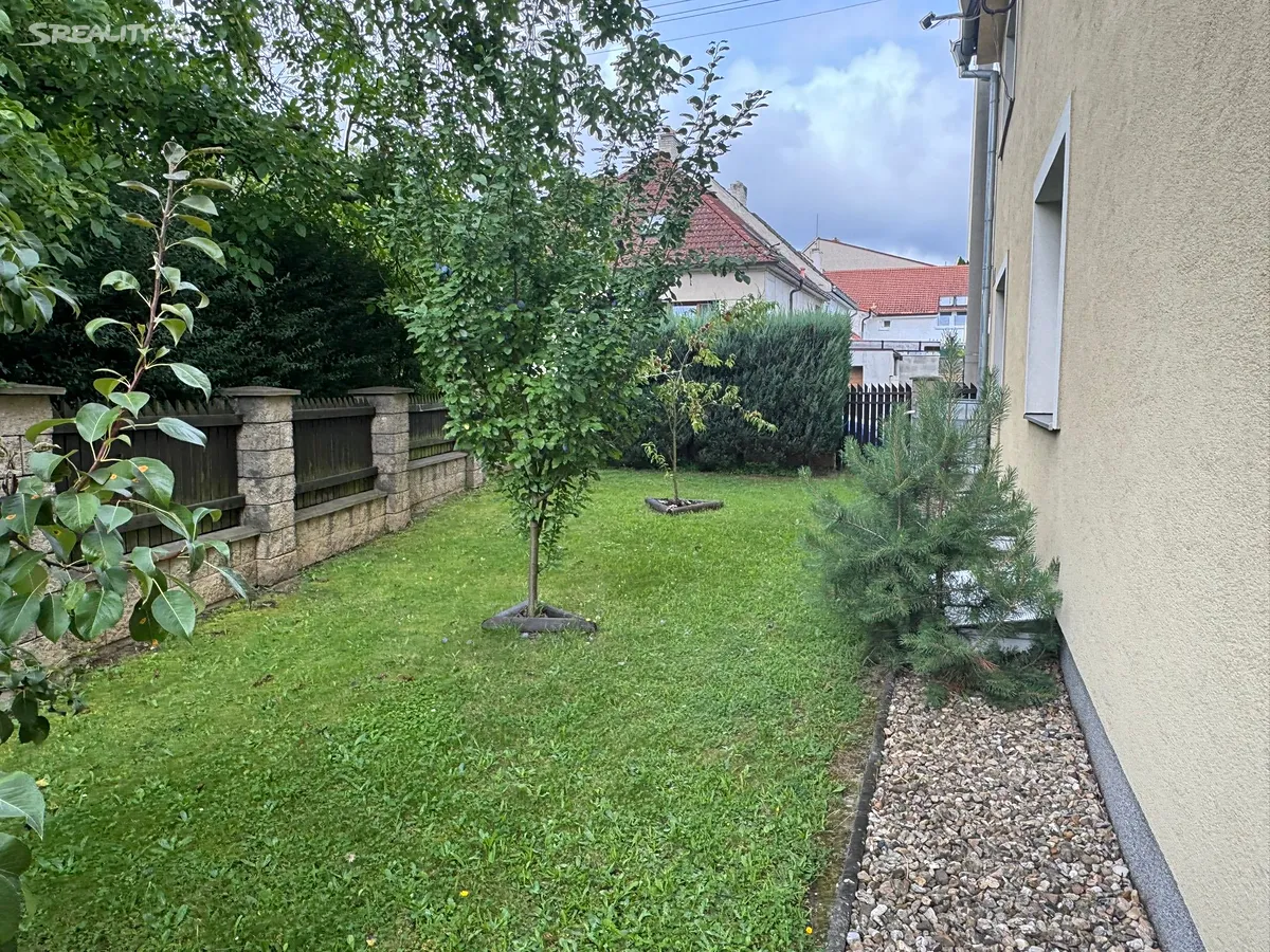 Prodej rodinného domu 389 m², pozemek 562 m² - Widok 6