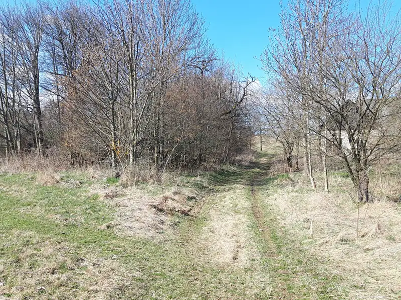 Prodej stavebního pozemku 2595 m², Hynčina – náhled fotky 2