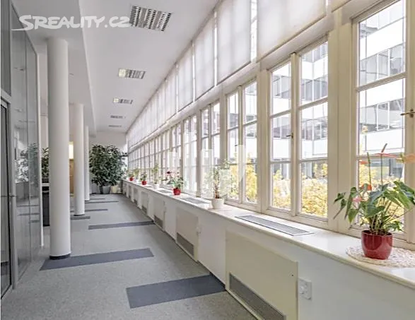 Pronájem kanceláře 300 m² – další