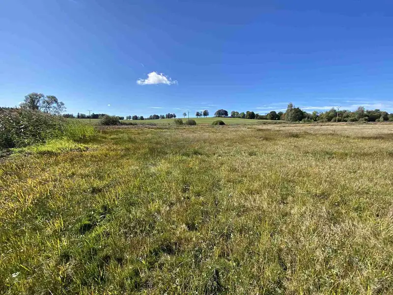Prodej pole 4706 m², Nový Rychnov – náhled fotky 3