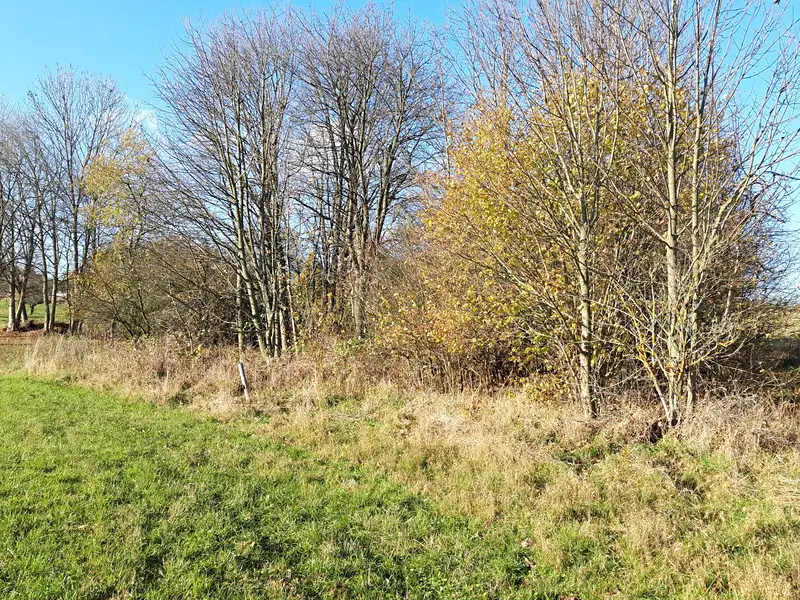 Prodej stavebního pozemku 2595 m², Hynčina – náhled fotky 1