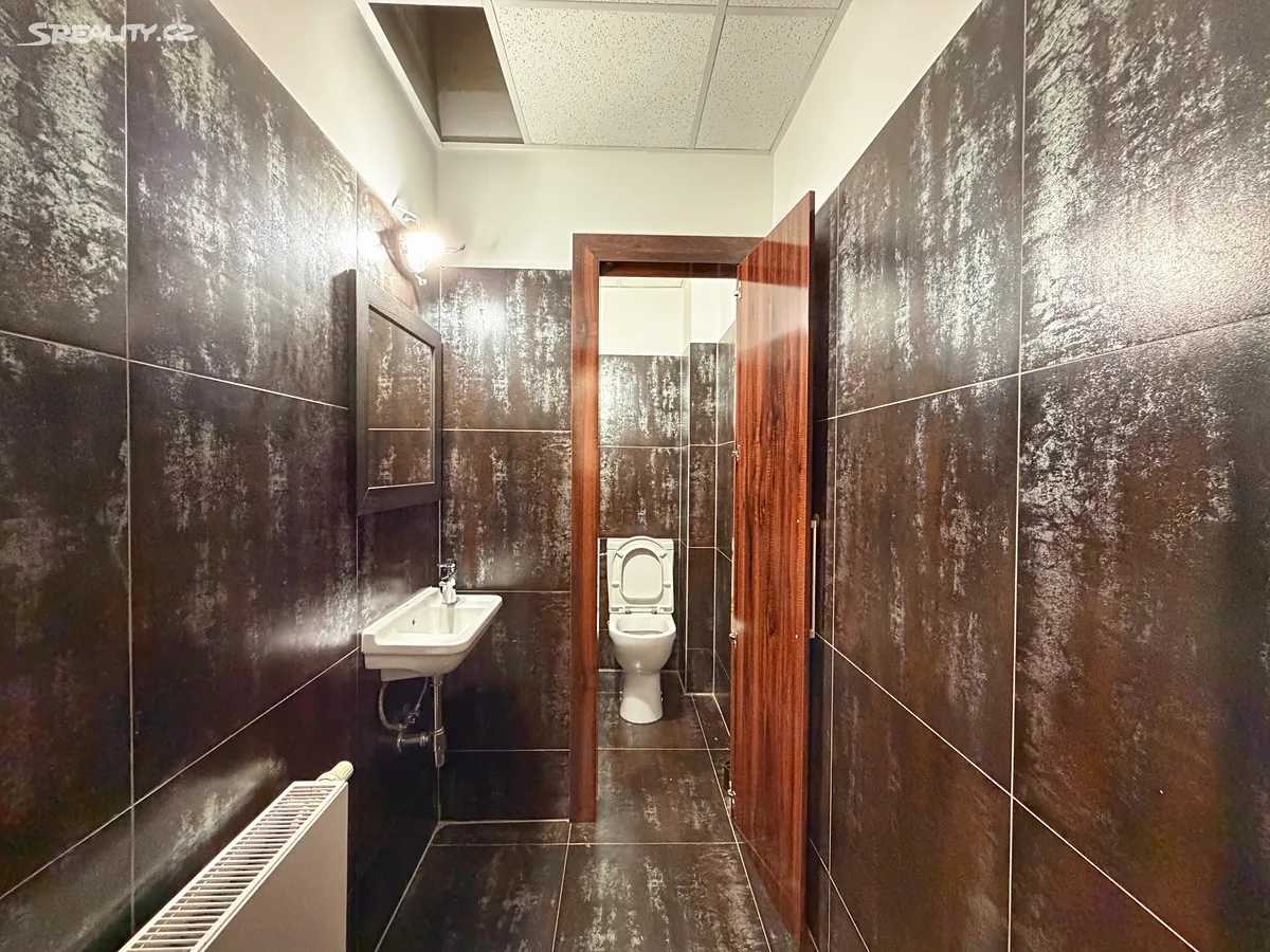 Pronájem kanceláře 70 m² – pohled 6