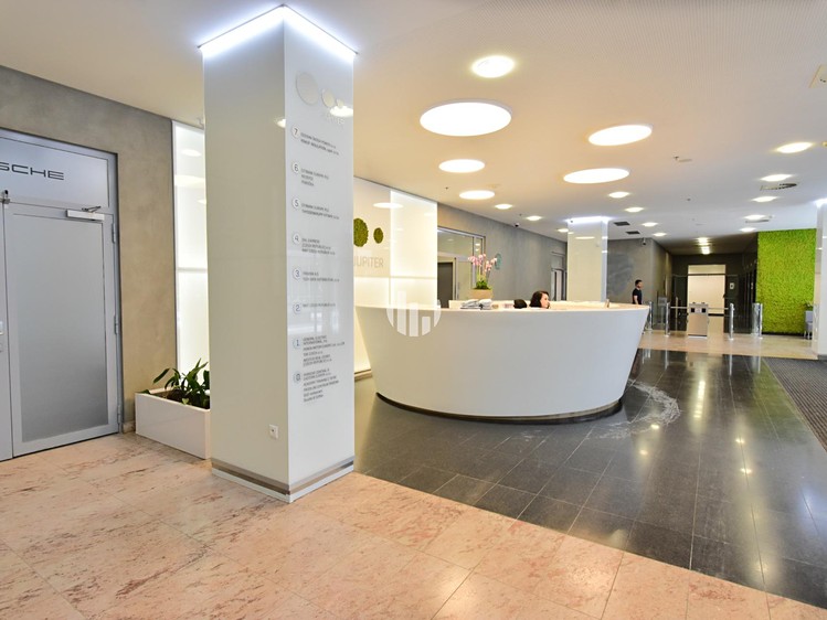 Pronájem komerčního prostoru, 659 m² (2 z 10)