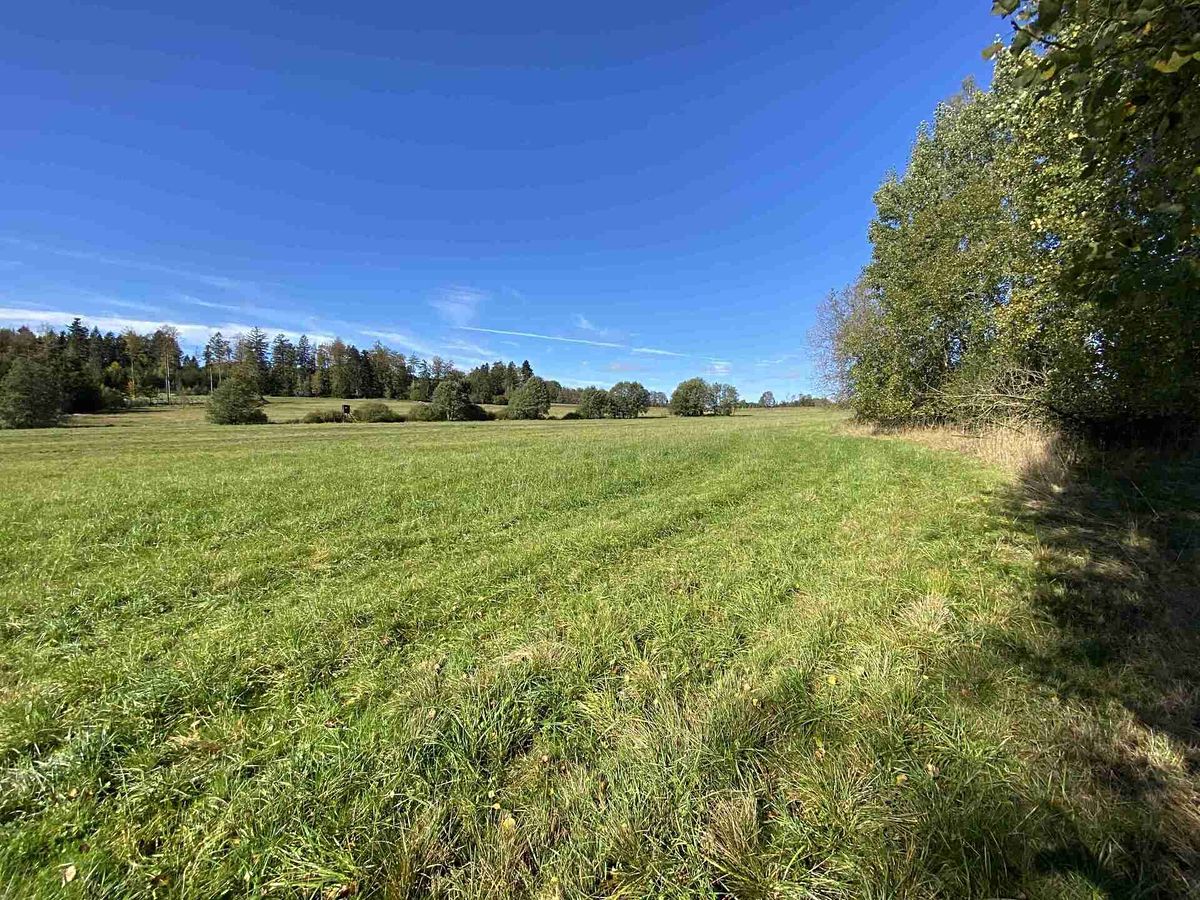 Prodej pole 4706 m² – fotografie 5