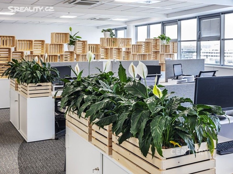 Pronájem kanceláře 250 m² – pohled 6