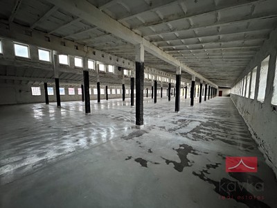 Gewerbefläche zur Miete, 1.178 m² (3 von 17)