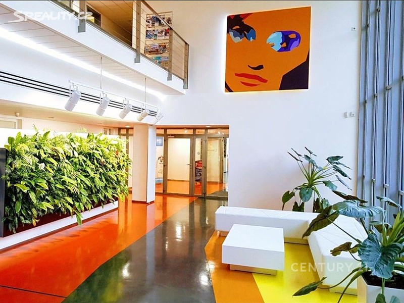 Pronájem kanceláře 250 m² – pohled 2