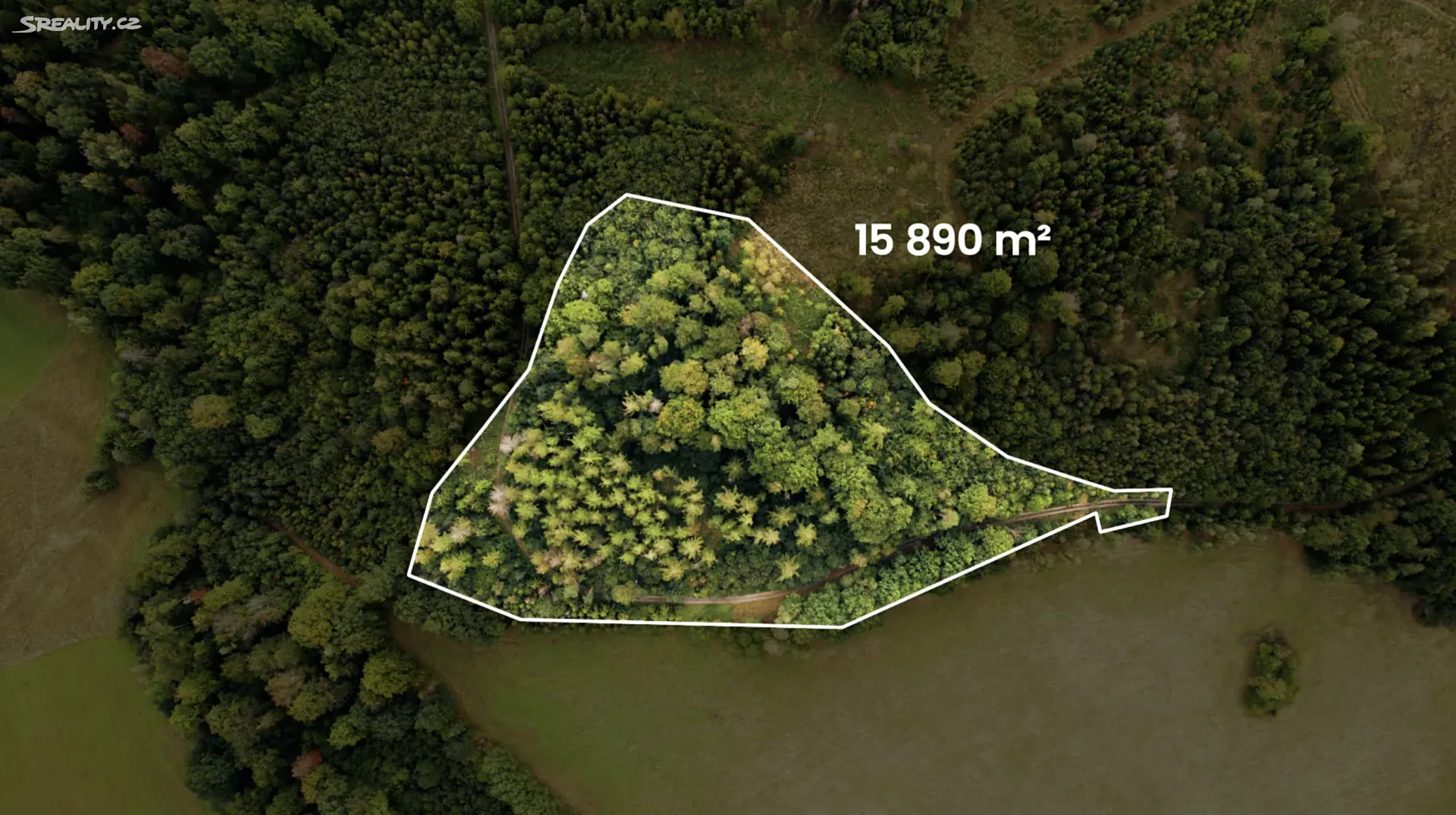 Prodej lesa 15892 m², Dlouhomilov - Benkov • Sreality.cz