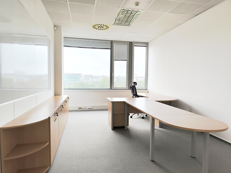 Gewerbefläche zur Miete, 1.055 m² (3 von 9)