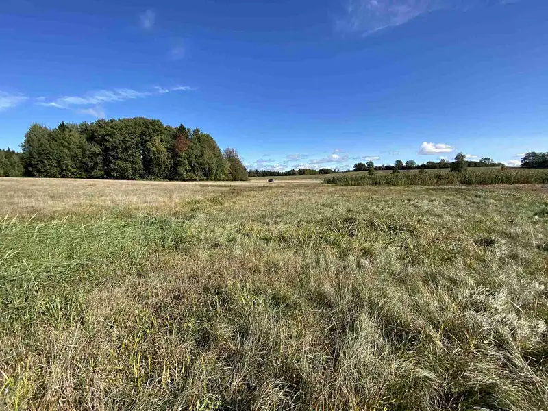 Prodej pole 4706 m², Nový Rychnov – náhled fotky 2