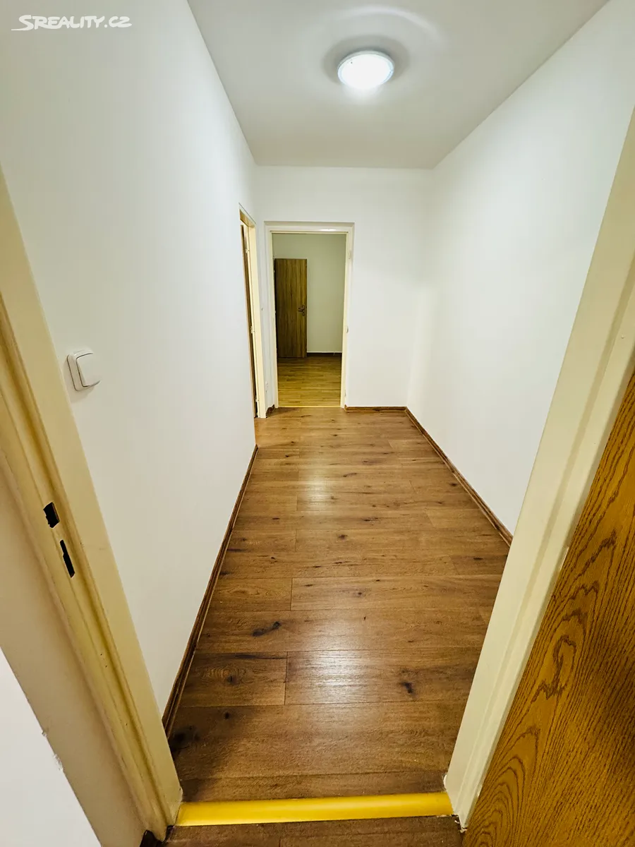 Pronájem bytu 2+1 63 m² - View 2