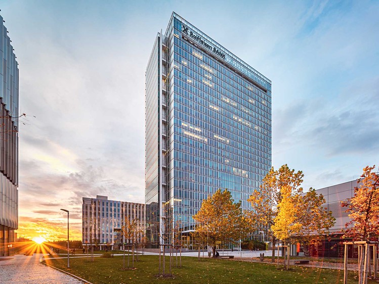 Комерційне приміщення в оренду, 431 м² (1 з 5)