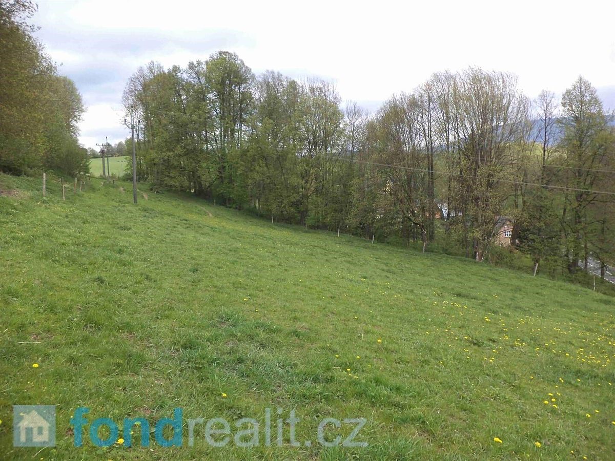 Prodej pozemku 12271 m² – fotografie 3