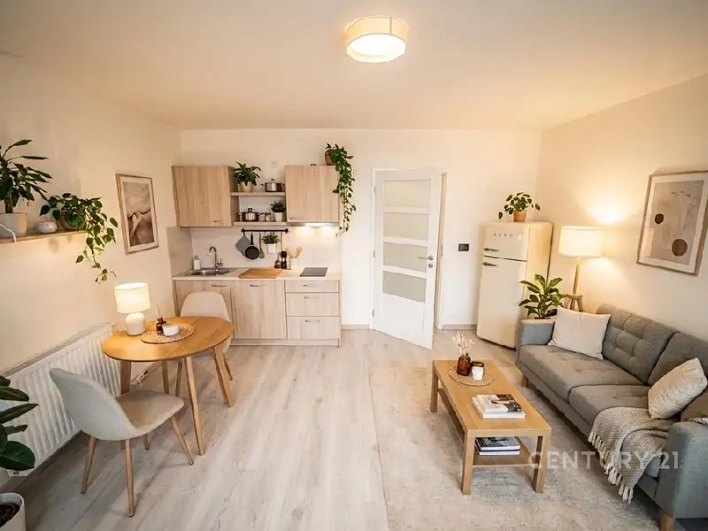 Prodej bytu 1+kk 30 m², Jenišovice – náhled fotky 2