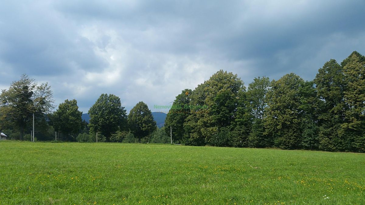 Prodej stavebního pozemku 3463 m² – fotografie 2
