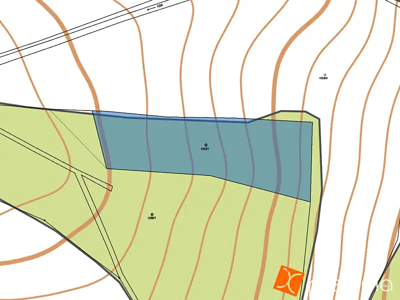 Prodej lesa 6587 m², Měrunice – náhled fotky 3