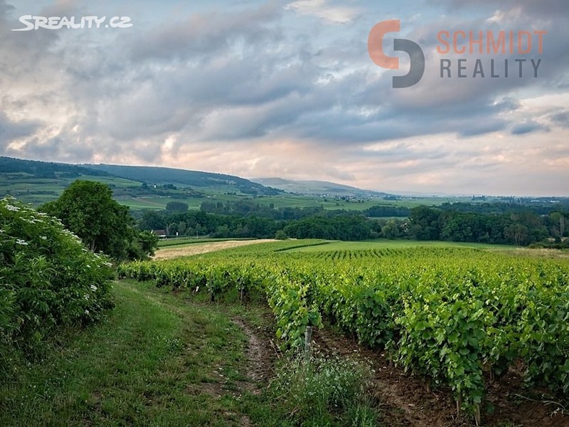 Prodej sadu, vinice 4 733 m²