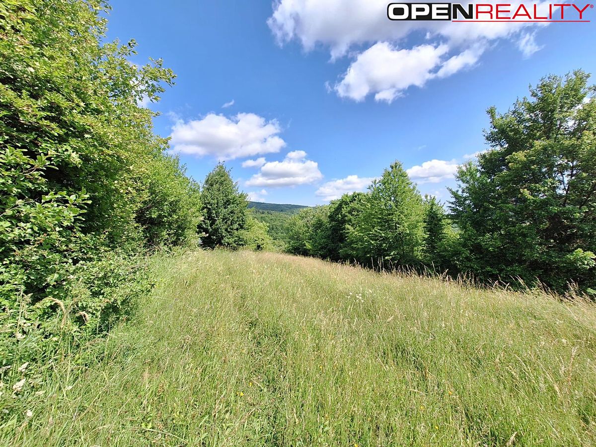 Prodej rodinného domu 80 m², pozemek 18929 m² – fotografie 4