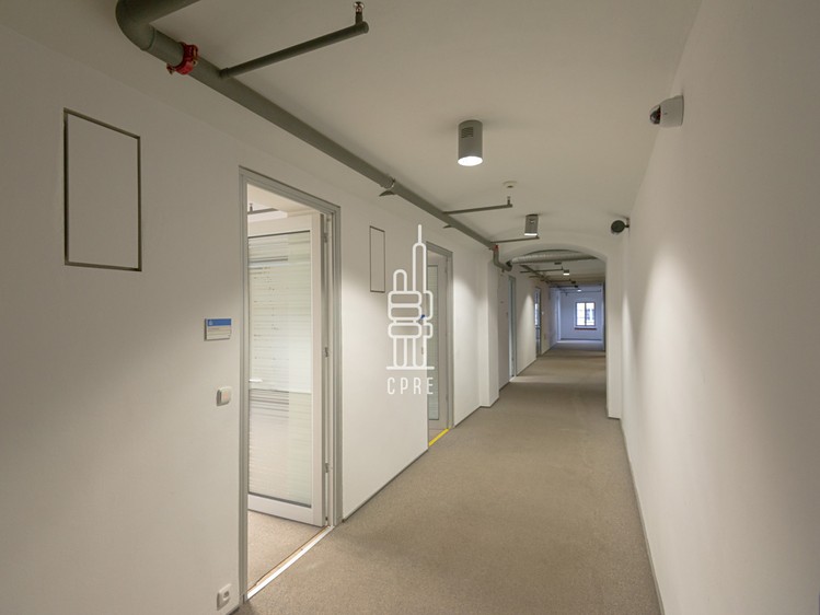 Pronájem komerčního prostoru, 350 m² (6 z 7)