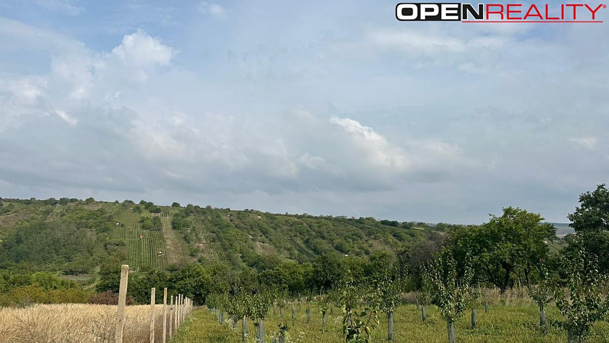 Prodej zahrady 358 m², Bořetice – fotka 1 z 3