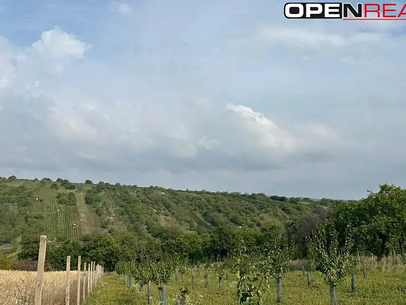 Prodej zahrady 358 m², Bořetice – náhled fotky 1