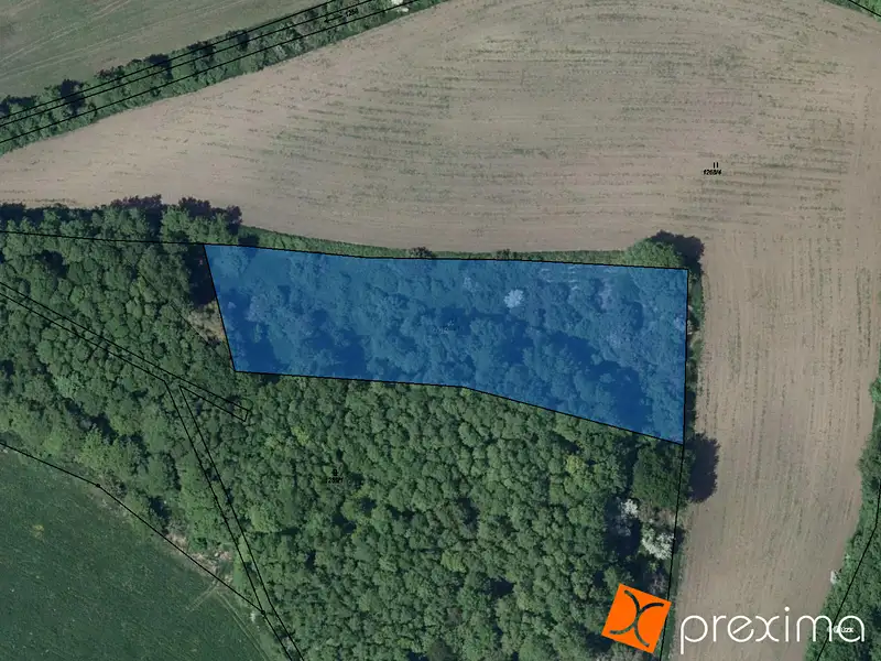 Prodej lesa 6587 m², Měrunice – náhled fotky 1