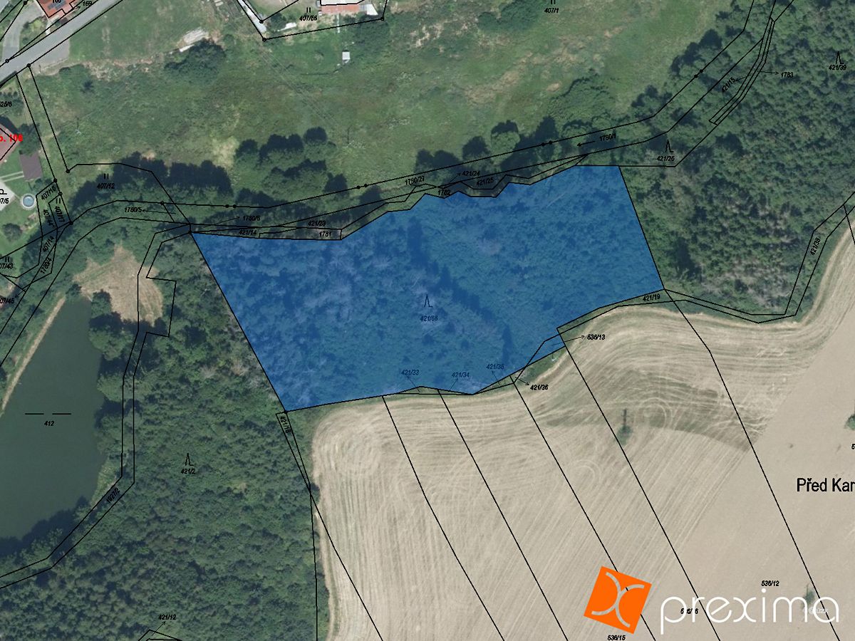Prodej lesa 7841 m²