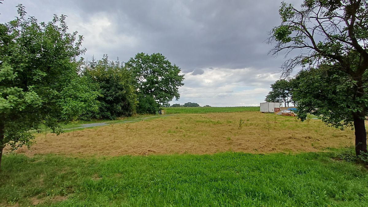 Prodej stavebního pozemku 1006 m² – fotografie 3