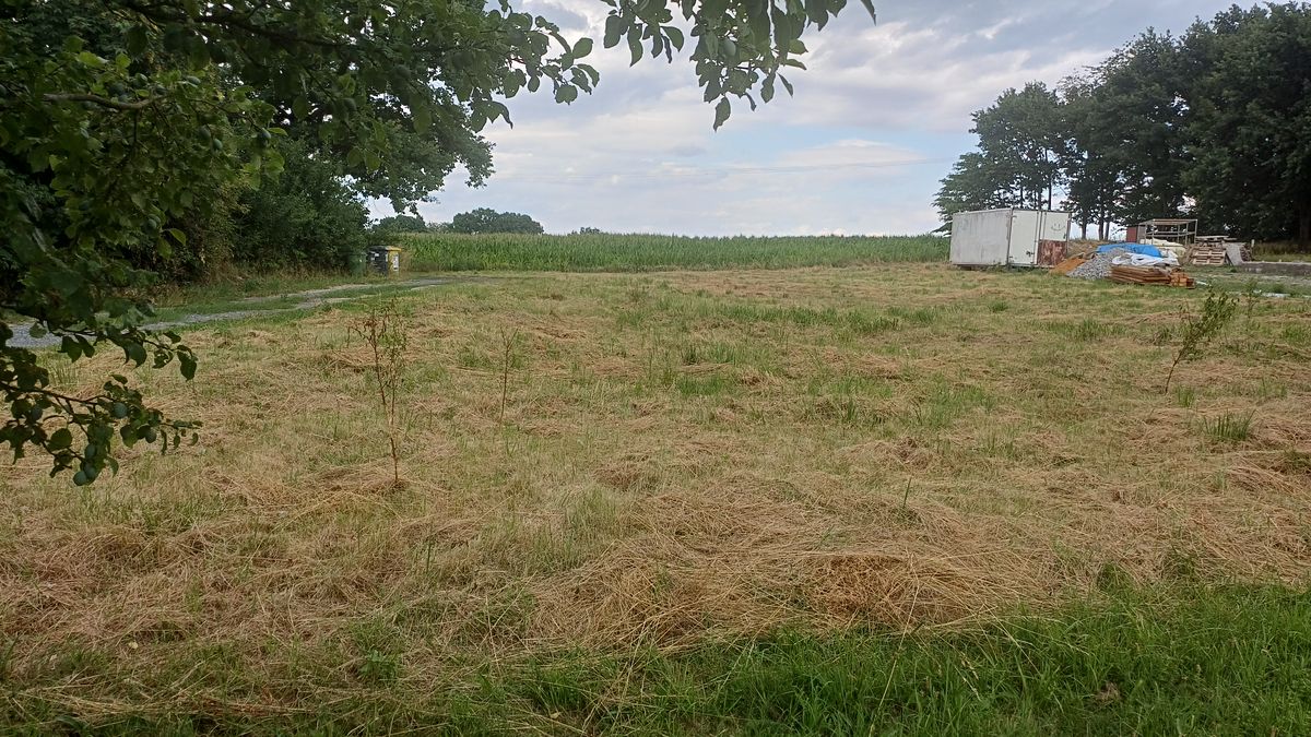 Prodej stavebního pozemku 1006 m² – fotografie 5