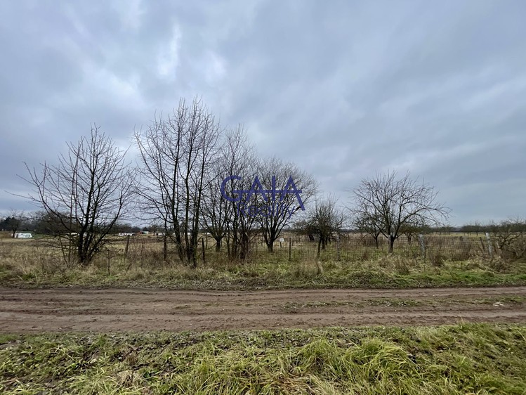 Prodej pozemku, 3 405 m² (6 z 8)