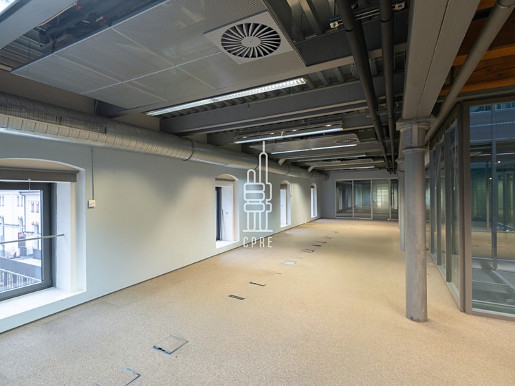 Gewerbefläche zur Miete, 600 m² (5 von 13)