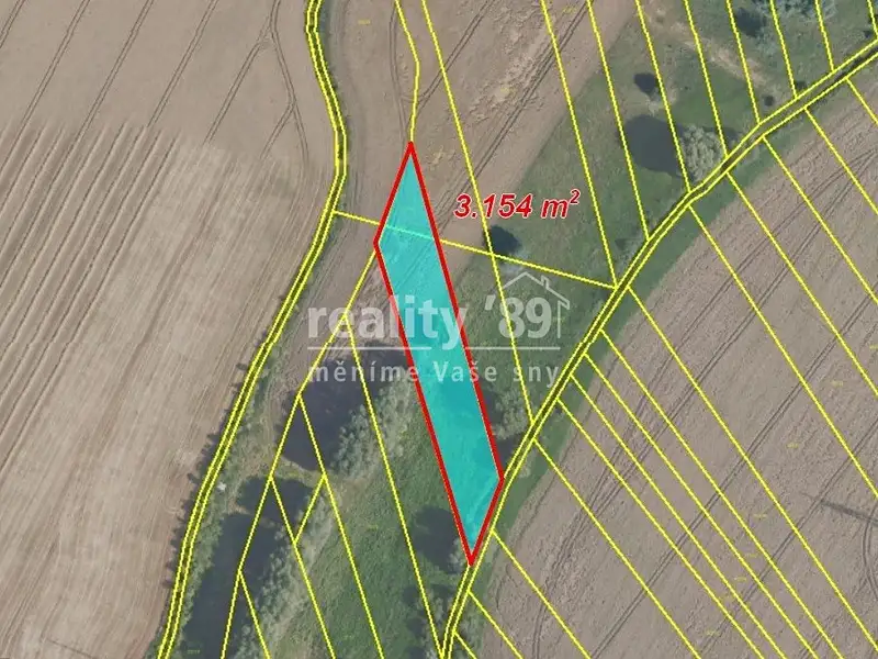 Prodej pole 12885 m², Kostelec nad Labem – náhled fotky 2