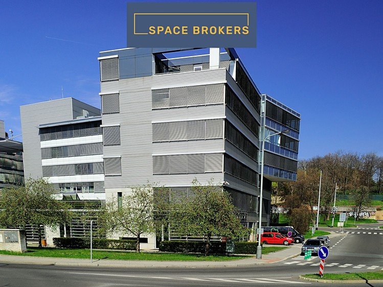 Pronájem komerčního prostoru, 305 m² (7 z 16)