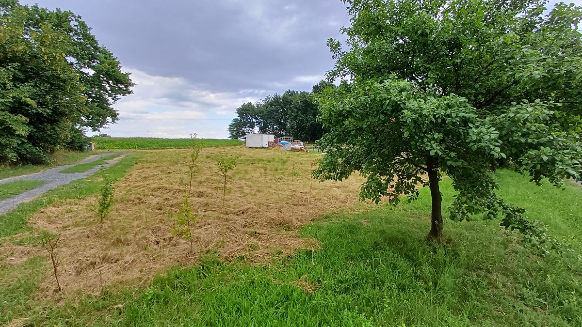 Prodej stavebního pozemku 1006 m² – fotografie 4