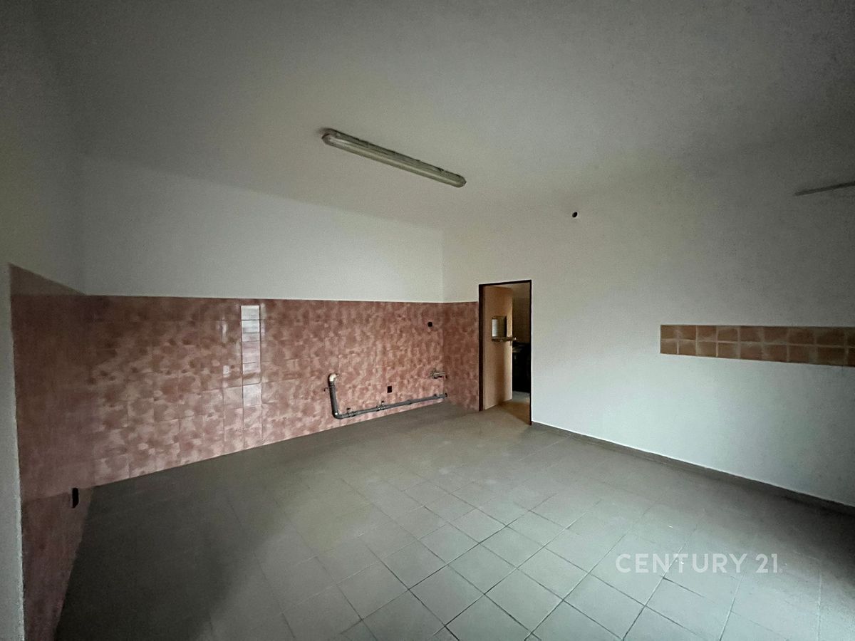 Pronájem komerční nemovitosti 233 m² – fotografie 3