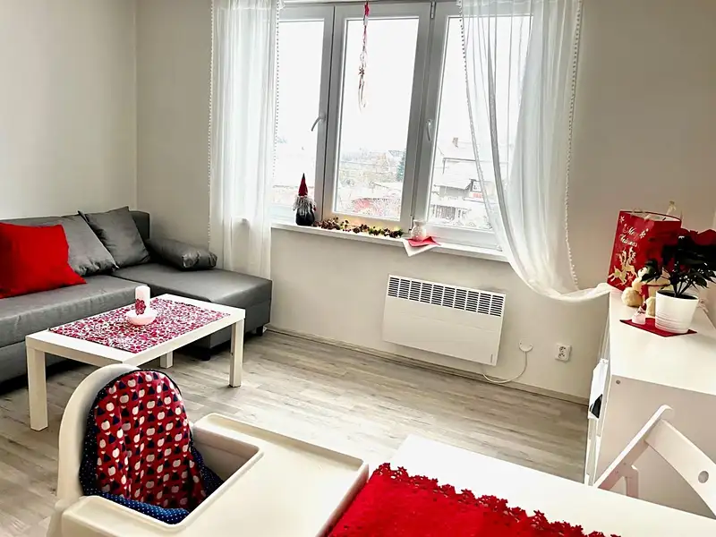 Pronájem bytu 1+kk 26 m², Spomyšl – náhled fotky 3