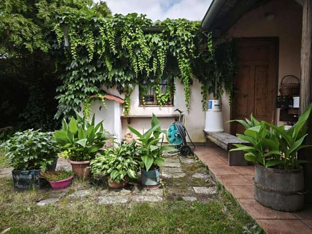 Prodej chalupy 120 m², pozemek 439 m² – fotografie 5