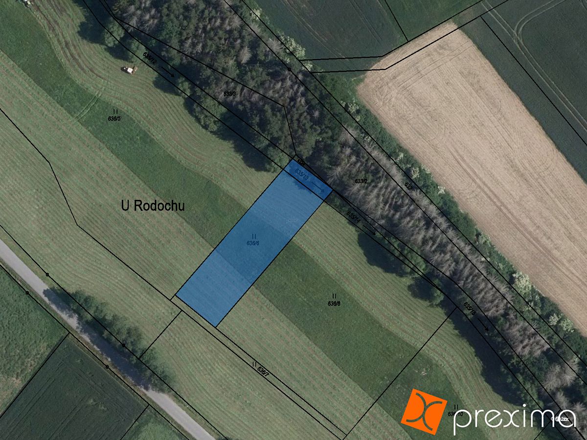 Prodej lesa 9117 m² – fotografie 3