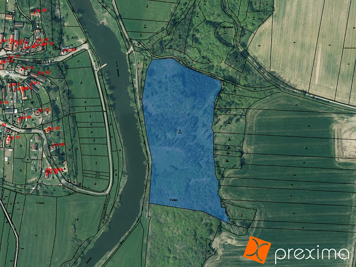 Prodej podílu 9/32 lesa 13289 m²
