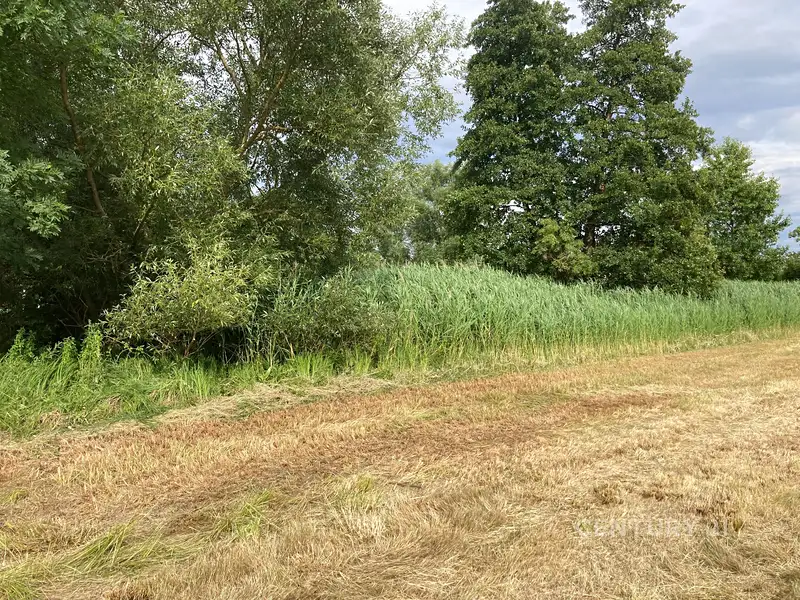 Prodej pozemku 438 m², Staňkovice – náhled fotky 3