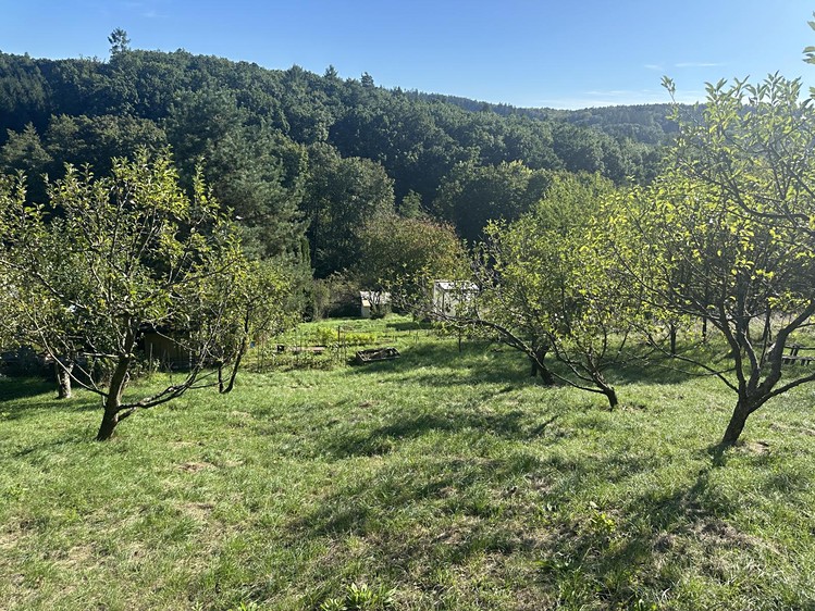 Grundstück zum Kauf, 554 m² (6 von 20)