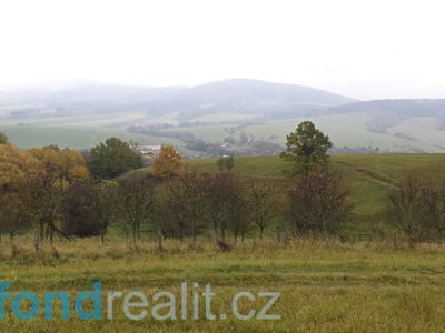 Prodej pole 6246 m²