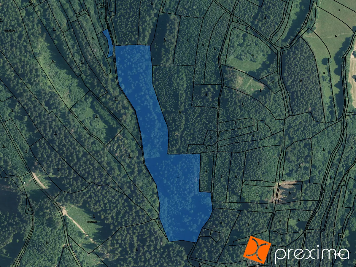 Prodej lesa 33568 m²