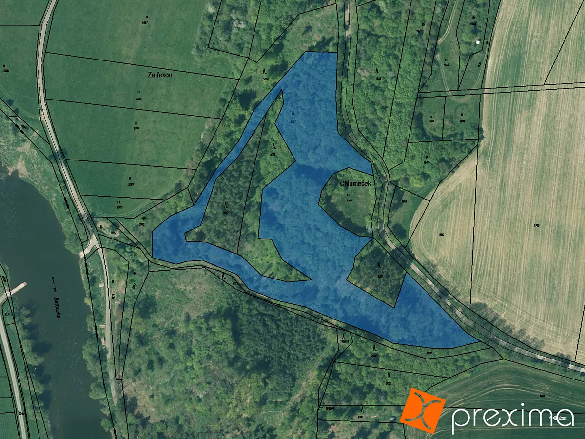 Prodej podílu 9/28 lesa 5528 m²