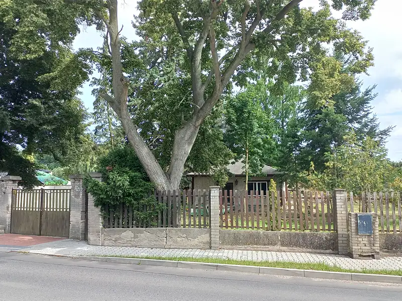 Prodej stavebního pozemku 1601 m², Nový Vestec – náhled fotky 1