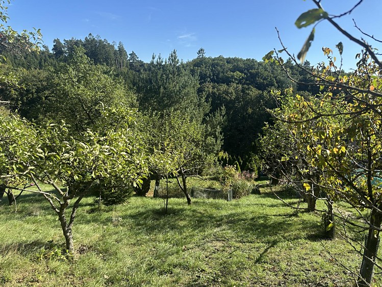 Grundstück zum Kauf, 554 m² (8 von 20)
