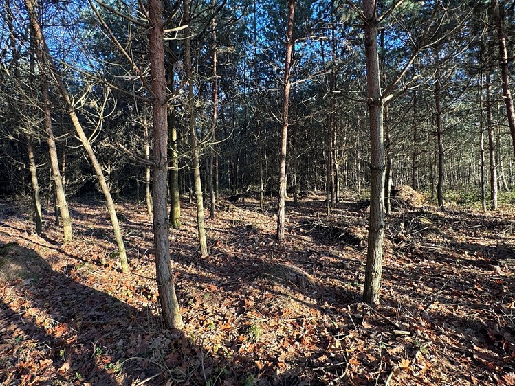 Grundstück zum Kauf, 8.225 m² (3 von 4)