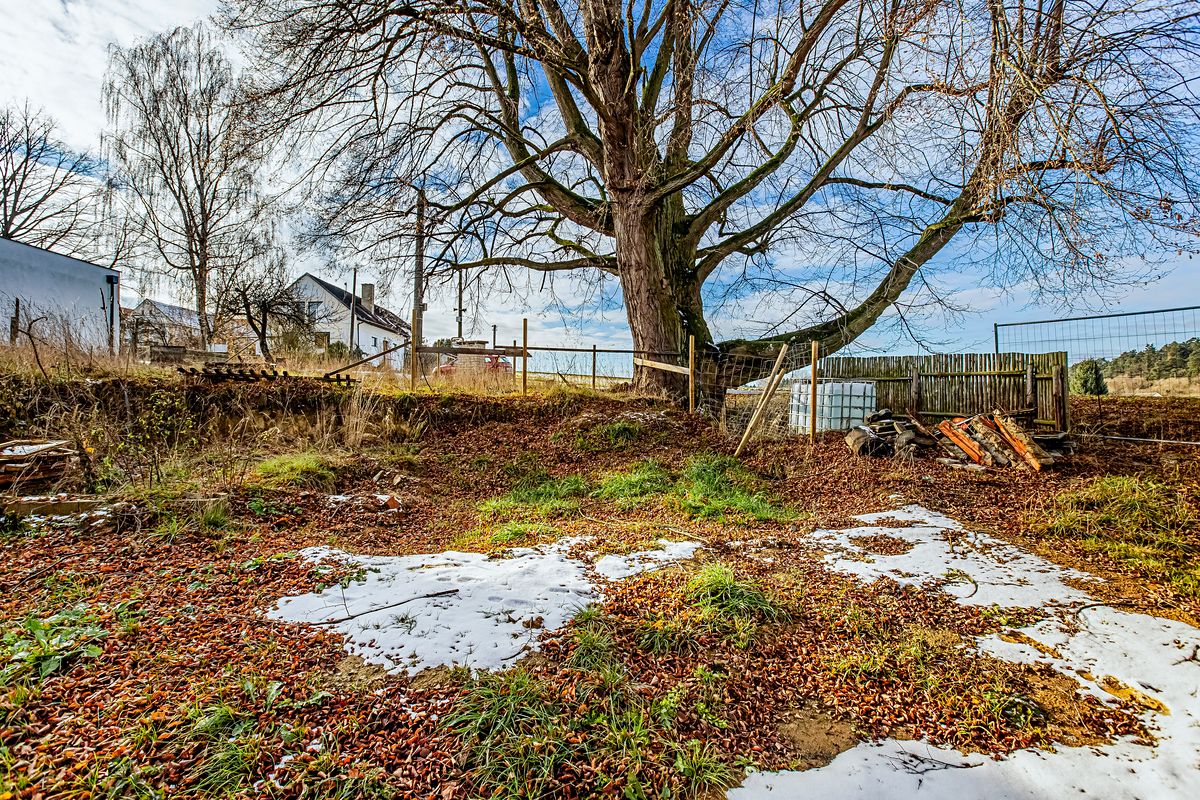 Prodej rodinného domu 102 m², pozemek 1167 m² – fotografie 5