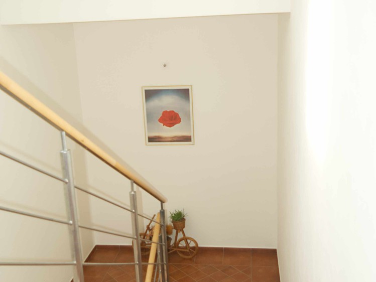 Комерційне приміщення в оренду, 615 м² (10 з 22)