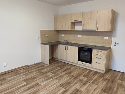Pronájem bytu 3+kk 49 m² (Jednopodlažní)